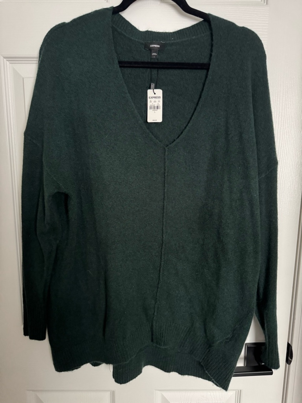 Express Women's Forest Green V-Neck Sweater